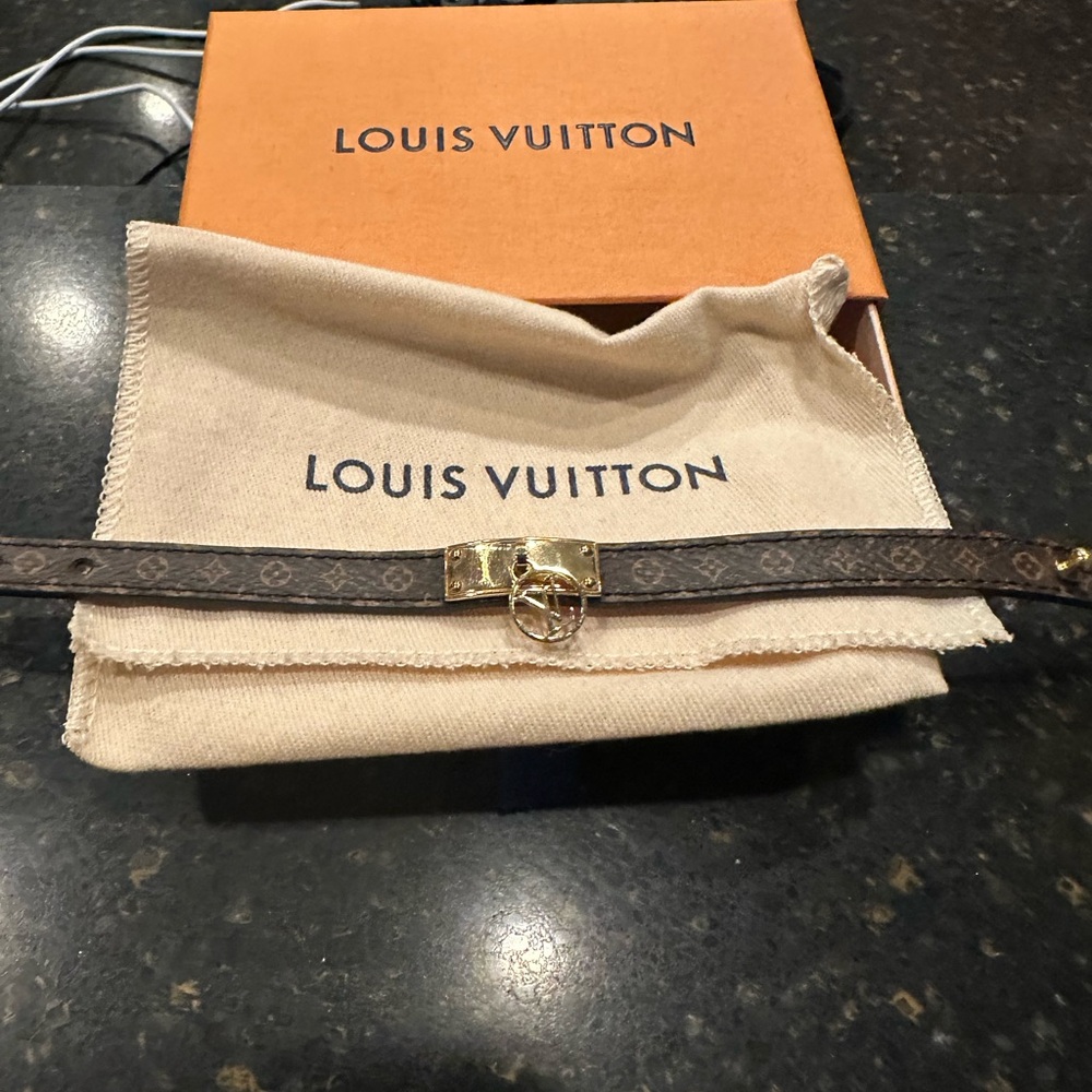Louis Vuitton Brown and Gold Monogram Strap - Picture 8 of 14